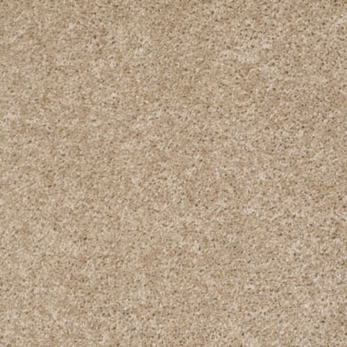 Dreamin' 12' in Quiet Splendor Carpet