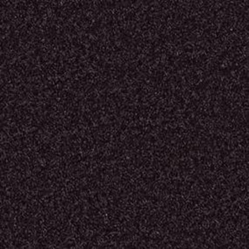 All Star Weekend I 12' in Armour Carpet