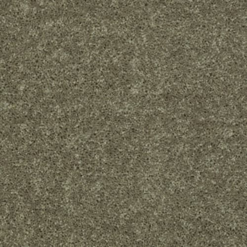 All Star Weekend II 12' in Aloe Carpet