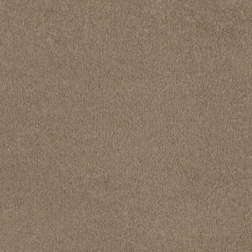 Magic At Last I 12' in Shell Carpet