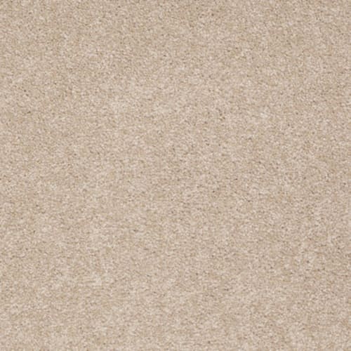 Magic At Last II 12 in Antique White Carpet