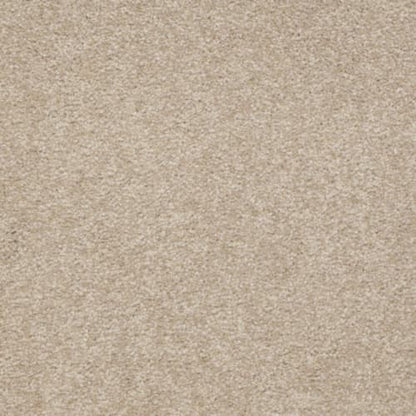 Magic At Last III 12' in Shell Carpet