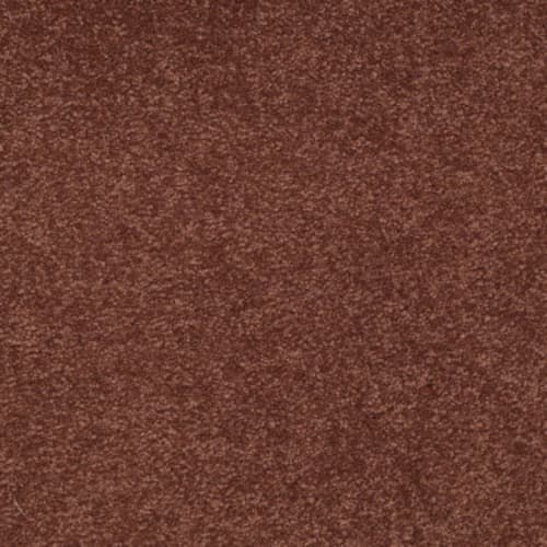 Magic At Last III 15' in Spice Carpet