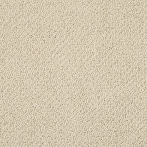 Timeless Charm Loop in Mesa Carpet