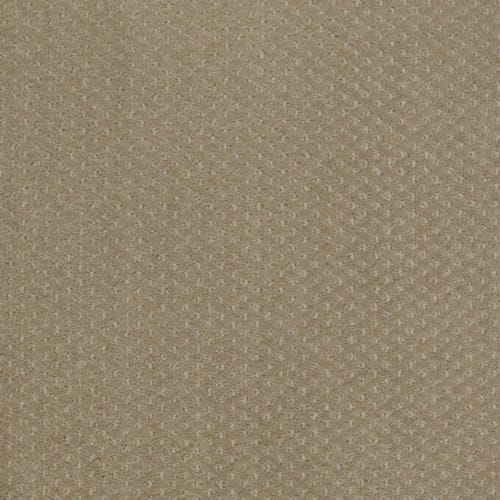 Genesis in Prairie Carpet