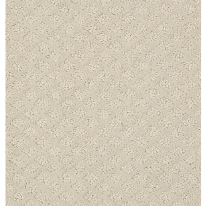 Pace Setter in Canvas Carpet