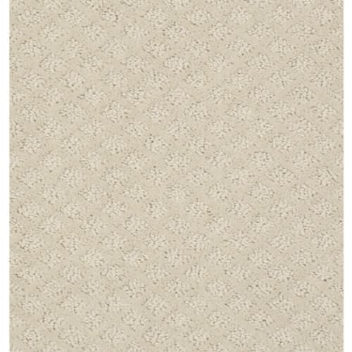 Pace Setter in Canvas Carpet