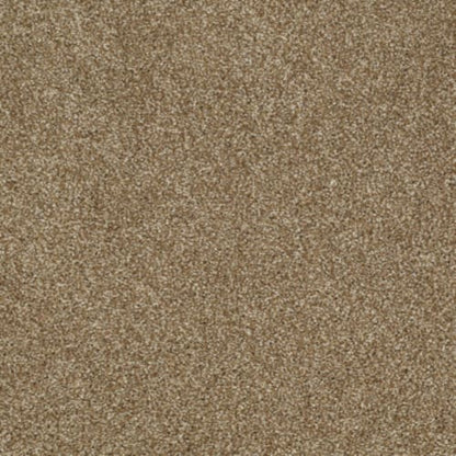 Picturesque in Leather Bound Carpet