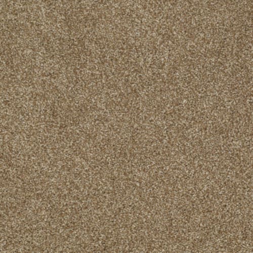 Picturesque in Leather Bound Carpet