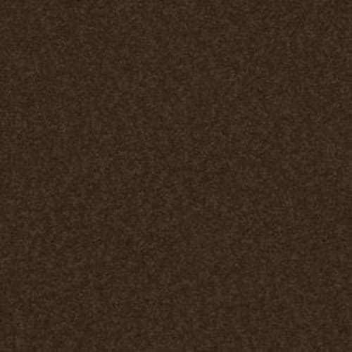 Sandy Hollow Classic I 12' in Tundra Carpet