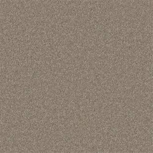 Sandy Hollow Classic I 15 in Wood Smoke Carpet