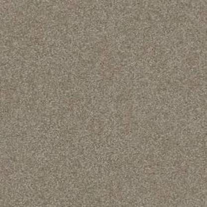 Sandy Hollow Classic III 12' in Wood Smoke Carpet