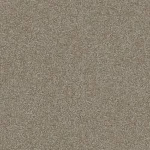 Sandy Hollow Classic III 12' in Wood Smoke Carpet