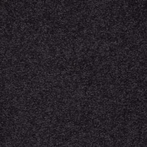 Sandy Hollow Classic IV 12' in Graphite Carpet