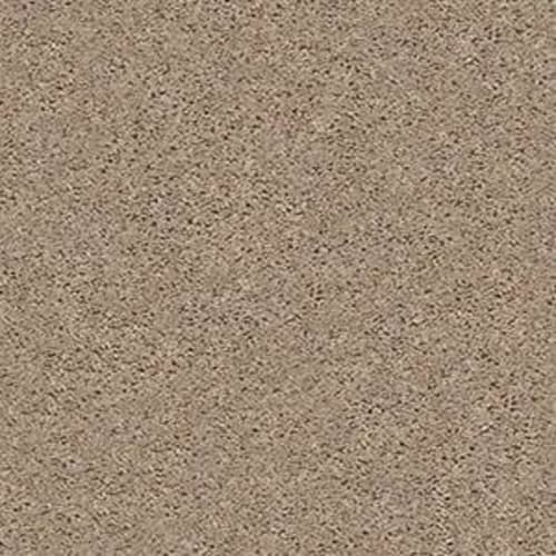 Go Big in Soft Sand Carpet