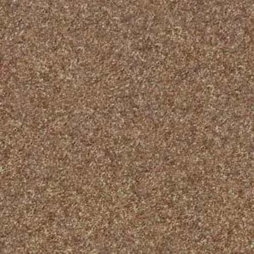 Victory in Bannister Carpet