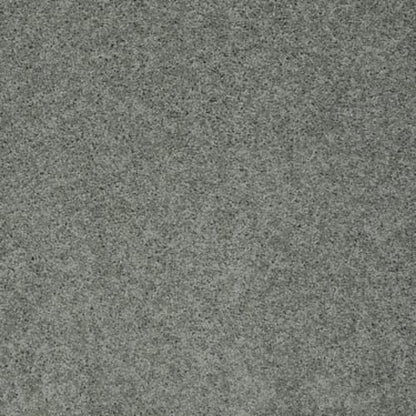 My Choice I in Silver Sage Carpet