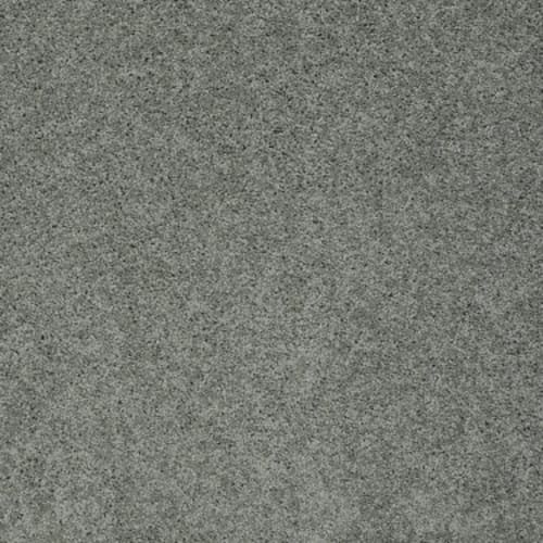 My Choice I in Silver Sage Carpet