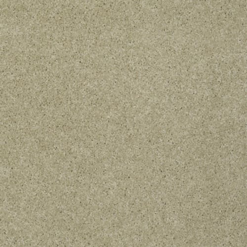 My Choice II in Beach Walk Carpet