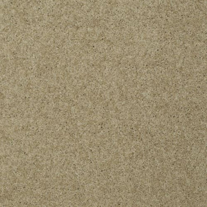 My Choice III in Taffeta Carpet