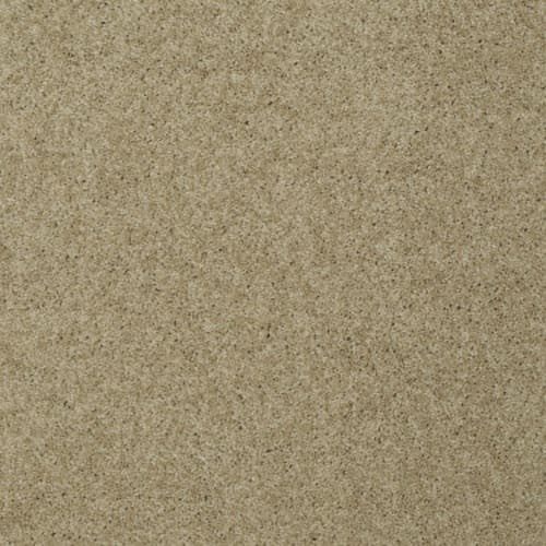My Choice III in Taffeta Carpet
