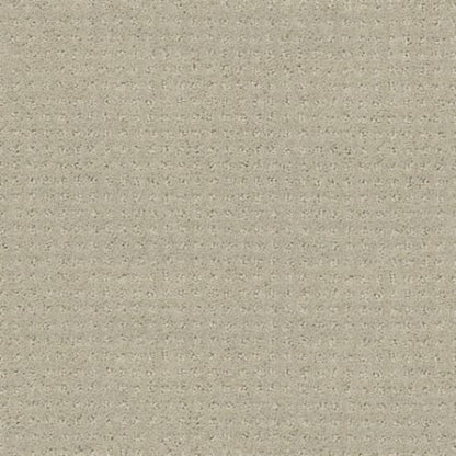 My Choice Pattern in Textured Canvas Carpet