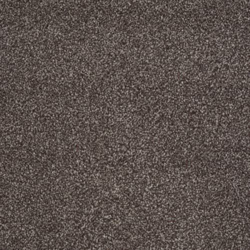 You Know It in Fudge Ripple Carpet