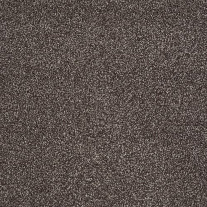 You Know It in Fudge Ripple Carpet