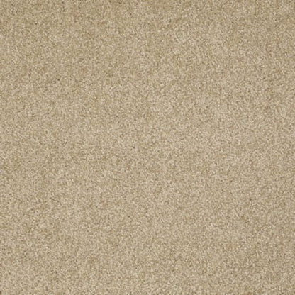 What's Up in Oakwood Carpet