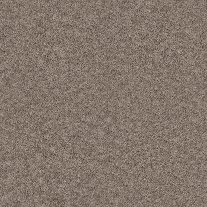 Color Flair in Tempting Taupe Carpet