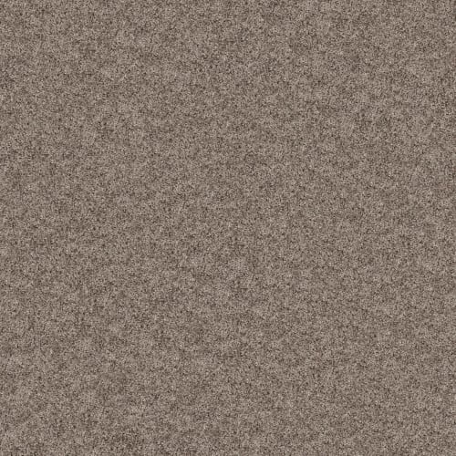 Color Flair in Tempting Taupe Carpet