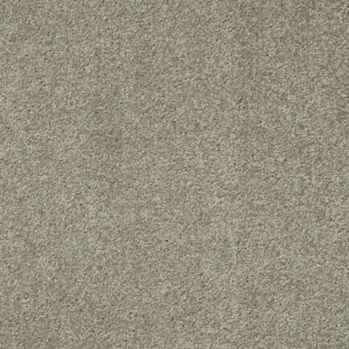 Something Sweet in Khaki Tan Carpet