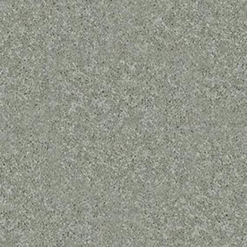 Dyersburg Classic 12' in Pebble Path Carpet