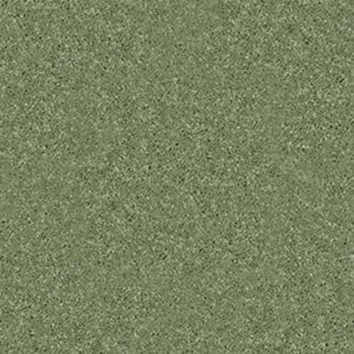 Dyersburg Classic 15'