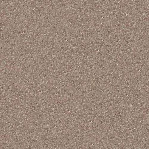 Newbern Classic 12' in Taupe Mist Carpet