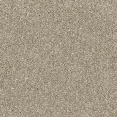 NEWBERN CLASSIC 15' in Fossil Carpet