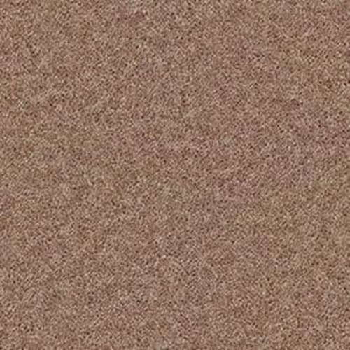 BRICEVILLE CLASSIC 12 in Rio Grande Carpet