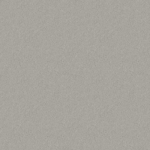PARALLEL in Silver Carpet