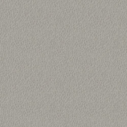 LATTICE in Silver Carpet
