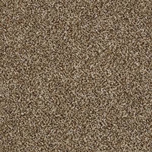 SHAKE IT UP (A) in Bits Of Brown Carpet