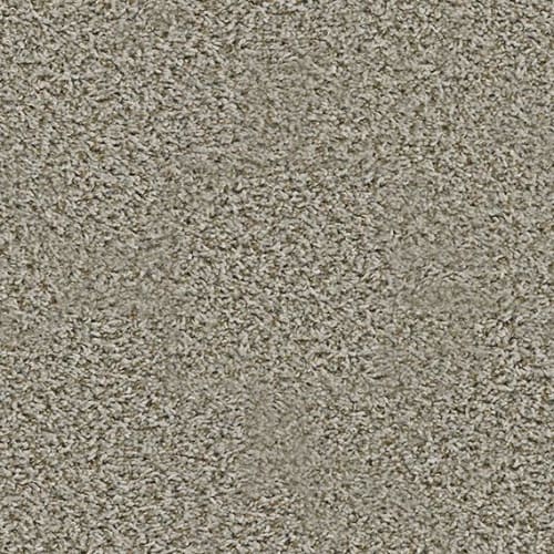 SEE ME in Natural Taupe Carpet
