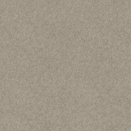 BASIC RULES in Vicuna Carpet