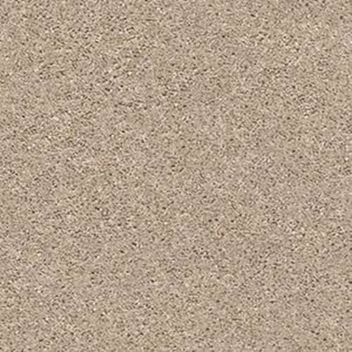 SHAKE IT UP (S) in Breeze Carpet