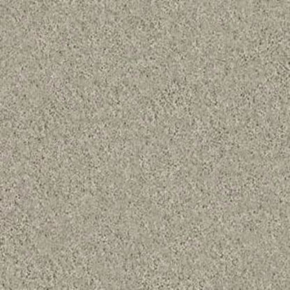 KEEN SENSES I in Barista Carpet
