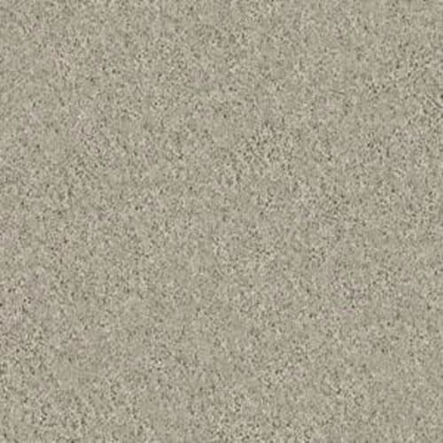 KEEN SENSES I in Barista Carpet