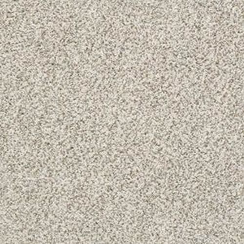 MAKE IT WORK in Ambiance Carpet