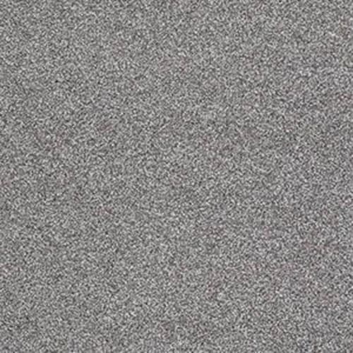 ALWAYS READY I in Washed Gray Carpet