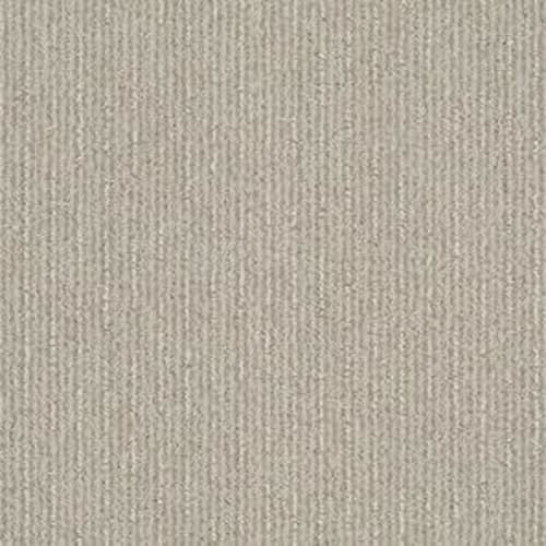 INSIGHTFUL WAY in Studio Taupe Carpet