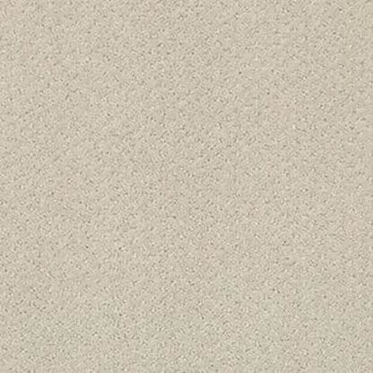 INFALLIBLE INSTINCT in Quiet Moment Carpet