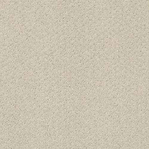 INFALLIBLE INSTINCT in Quiet Moment Carpet